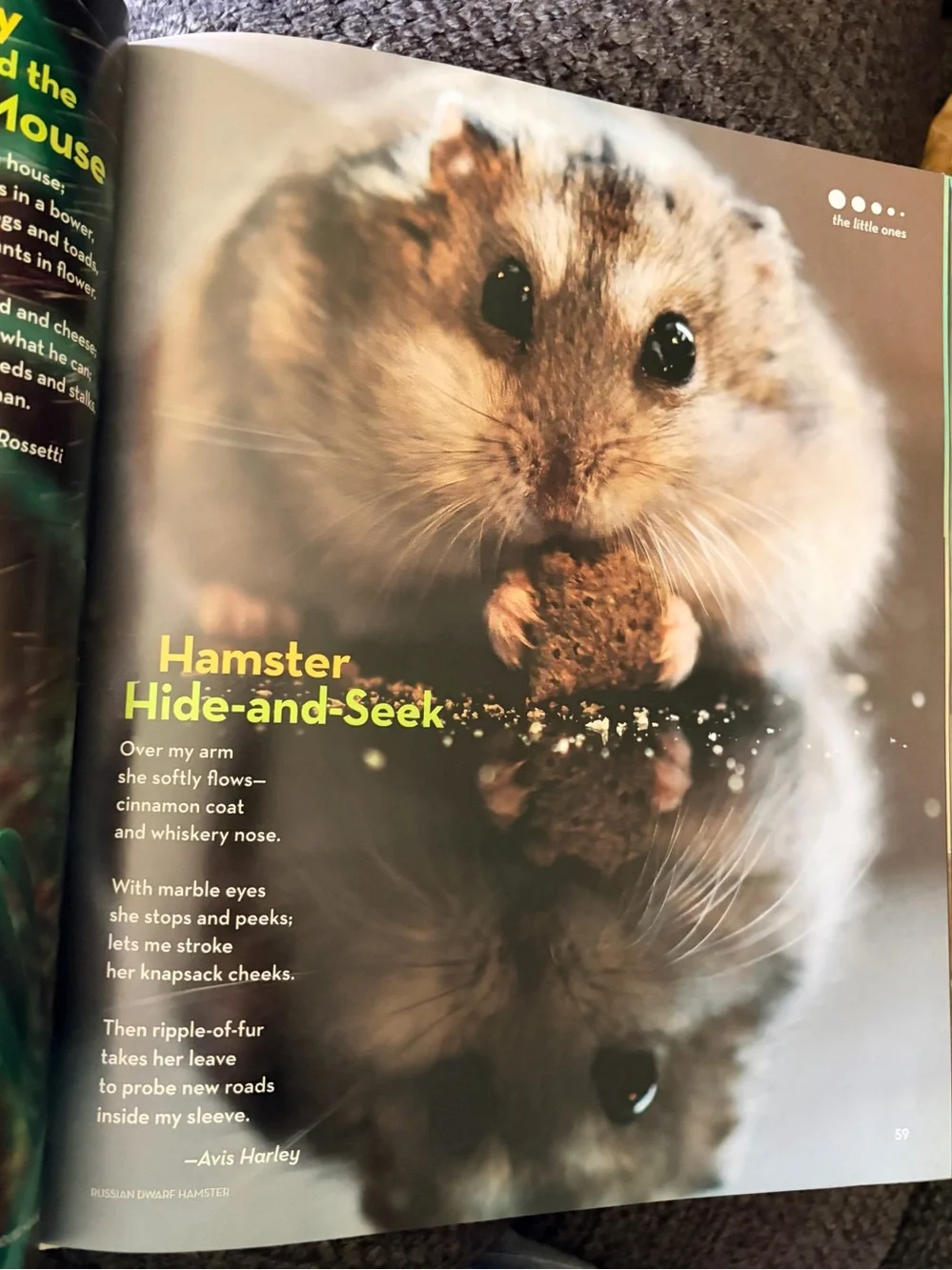 National Geographic Book of Animal Poetry